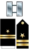 Flt Insignia (STN)