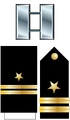 Flt Insignia (STN).png