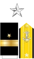 Capt Insignia (STN).png