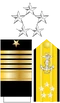 Hadm Insignia (STN)
