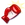 W fight