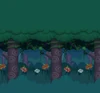 The Woods