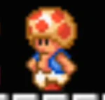 Toad SM3DLand