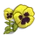 Yellow Pansy-icon