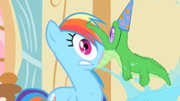 Gummy latched onto Rainbow Dash's face S1E25