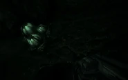 Hive1