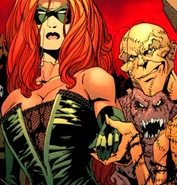 Knockout and Ragdoll