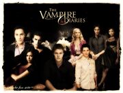 TheVDiaries