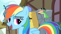 Rainbow Dash 'Hi, Pinkie Pie' S1E25
