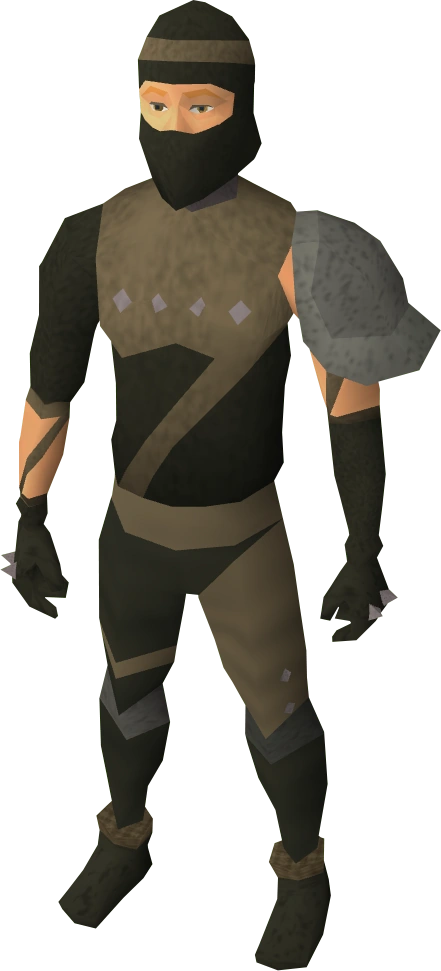 Rogue armour equipped