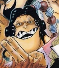 Apoo timeskip