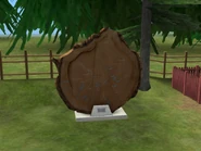 Tree Ring