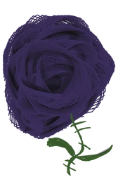 Cyberrose