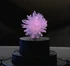 Microbrain