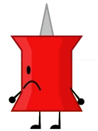 Pin