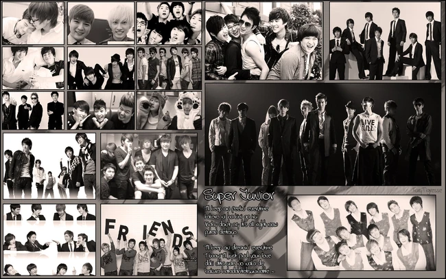 Super junior wallpapeer