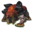 FFXIII-2 Xolotl