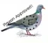 Pigeon approved!