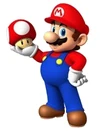 Mariowithmushroom