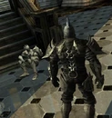 Raidriar slain