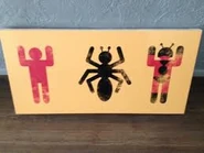 Ant