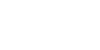 WebsterSignature