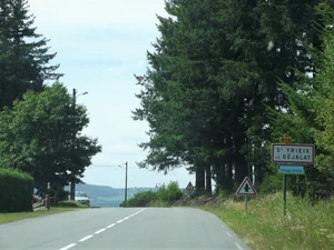 D16 (19) (1)