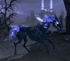 Arvak