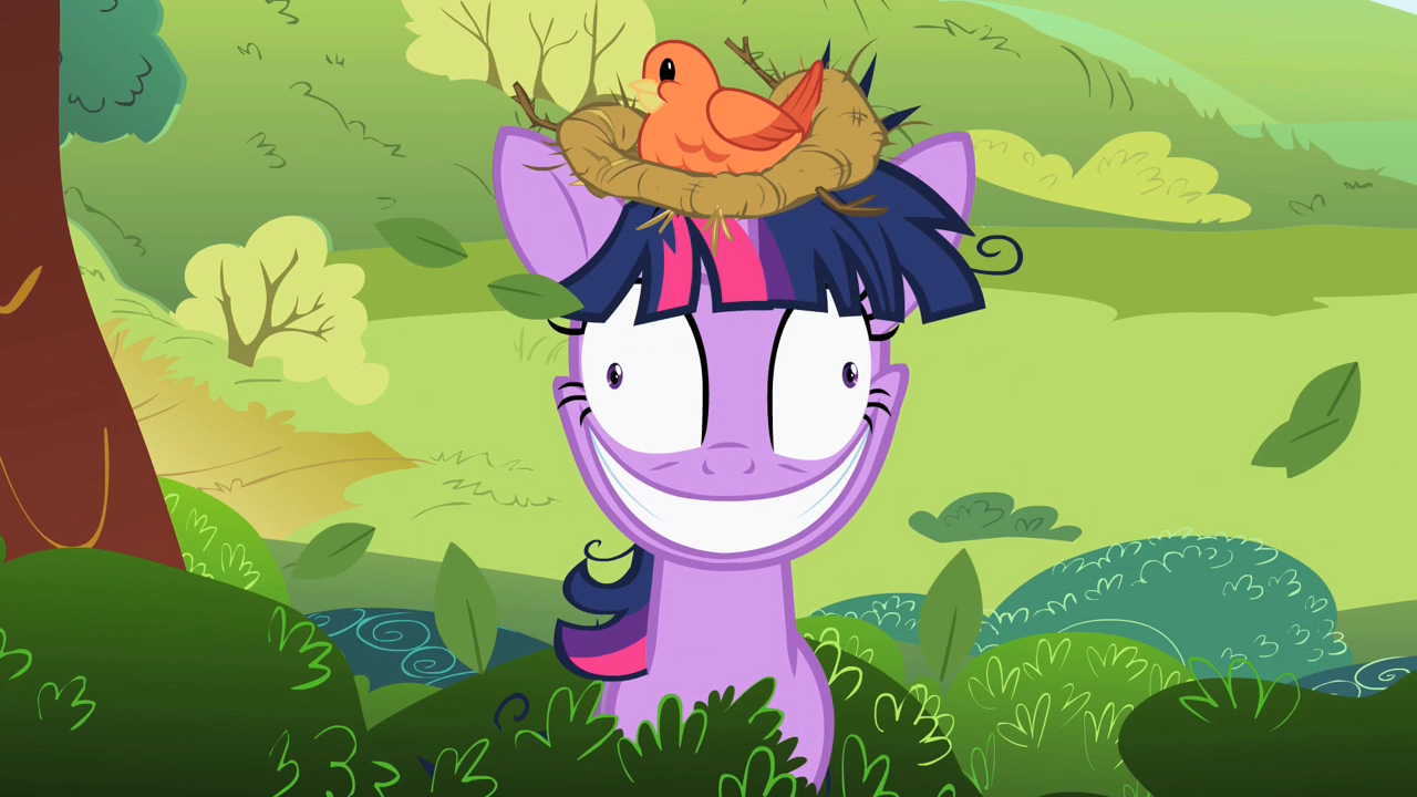 My Little Pony Friendship Is Magic Twilight_Sparkle_with_a_bird's_nest_on_her_head_S2E03