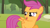 Scootaloo 'The greatest flyer ever to come out of Cloudsdale' S1E23