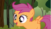 Scootaloo 'Rainbow Dash!' S1E23
