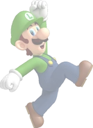 Vanish luigi