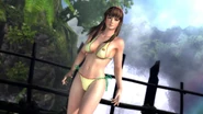 DOA5 Hitomi Swimsuit