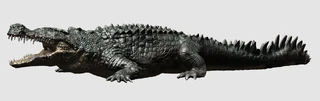 Dienosuchus3