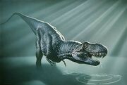 Tyrannosaurus rex-1-