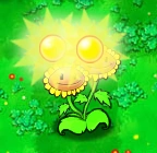 Twinsunflowerproducing