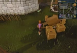 Simple clue Varrock palace cart crate