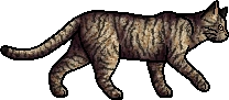 Leafstar.loner