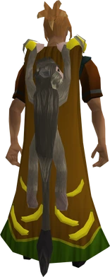 Monkey cape equipped