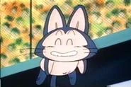 Puar volando.jpg (7 KB) Puar volando