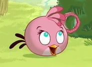 Pink Bird