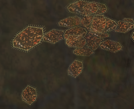 Impact crater fish