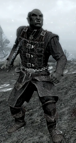 Dawnguard Scout 1