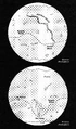 Spira-map.jpg