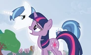 Shining Armor Twilight B.B.B.F.F. S02E25