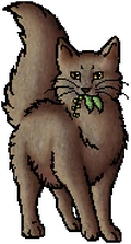 Mudfur.mc