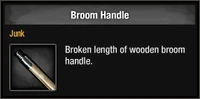 Broom Handle