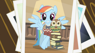 320px-Picture_of_Rainbow_Dash_with_the_owl_S2E07.png