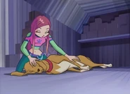 Artu No! BelievixinStella