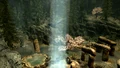 AncestorGlade03.jpg